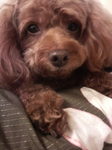 2009030618110000.jpg