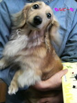 2009031417150000.jpg
